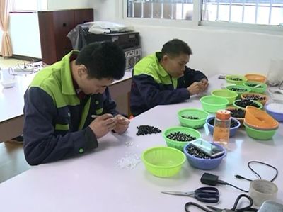 振奮人心 | 東興區殘疾人就業創業正當時！